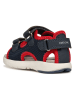 Geox Sandalen "Multy" in Dunkelblau/ Rot