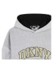 DKNY Hoodie grijs