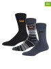 LEE Underwear Skarpety (3 pary) "Telfer" w różnych kolorach
