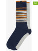 Lee 2er-Set: Socken "Roger" in Dunkelblau/ Hellgrau/ Ocker