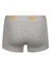 LEE Underwear 3er-Set: Boxershorts "Harkins" in Schwarz/ Weiß/ Grau