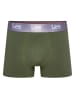 LEE Underwear Bokserki (3 pary) "Becket" w kolorze szarym i oliwkowym