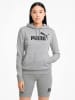 Puma Hoodie in Grau