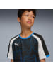 Puma Trainingsshirt in Schwarz/ Blau