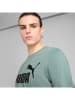Puma Shirt in Türkis