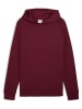 Puma Hoodie in Rot