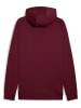 Puma Hoodie in Rot