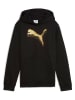 Puma Hoodie in Schwarz