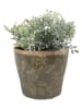 Clayre & Eef Bloempot groen/beige - (H)10 x Ø 12 cm