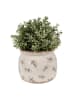 Clayre & Eef Bloempot beige/rood - (H)13 x Ø 16 cm