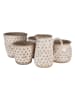 Clayre & Eef Bloempot beige/zwart - (H)16 x Ø 16 cm