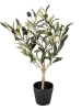 Clayre & Eef Kunstpflanze in Grün - (H)50 x Ø 15 cm