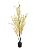Clayre & Eef Kunstpflanze "Forsythie" in Gelb - (B)20 x (H)125 x (T)20 cm