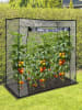 Garden Hero Gewächshaus in Transparent - (B)170 x (H)170 x (T)80 cm