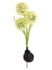 Garden Hero Solarna lampa ogrodowa LED "Flower" w kolorze zielono-żółtym - wys. 72 cm