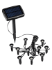 Garden Hero LED-Solar-Pflanzenstrahler in Schwarz