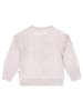 Dirkje Sweatshirt in Grau
