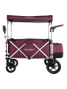 Fuxtec Bollerwagen "FX-CTL900" in Lila
