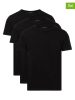 Tommy Hilfiger 3er-Set: Shirts in Schwarz