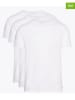 Tommy Hilfiger 3er-Set: Shirts in Weiß
