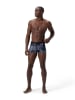 Speedo Badeshorts "Vamilton" in Grau