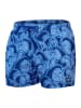 Speedo Badeshorts "Eco Dig" in Blau/ Hellblau/ Weiß