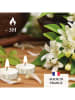 CXL by Christian Lacroix 24-delige set: geurende theelichtjes "Ylang & Jasmine", elk 9,5 g