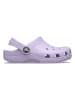 Crocs Crocs "Classic" paars