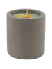 Candle Brothers Świeca zapachowa "Citronella Grey" - 270 g