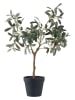 House Nordic Kunstplant "Olive Tree" groen - (H)61 cm