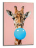 Orangewallz Gerahmter Kunstdruck "Giraffe Gum"