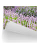 Orangewallz Outdoor-Kunstdruck "Sunset Lavender Field"