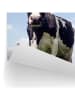Orangewallz Outdoor-Kunstdruck "Summer Meadow Cow"