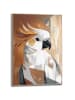 Orangewallz Ingelijste kunstdruk "Golden Cockatoo"