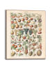 Orangewallz Gerahmter Kunstdruck "Fruits"