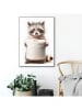 Orangewallz Gerahmter Kunstdruck "Racoon Paper Holder"