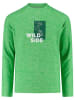 cmp Funktionslongsleeve in Grün