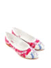 Goby Ballerinas in Weiß/ Pink/ Bunt