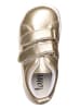 lamino Barfußschuhe in Gold