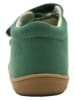 lamino Leder-Lauflernschuhe in Grün