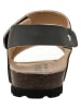 lamino Sandalen in Anthrazit