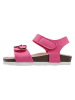 lamino Sandalen in Pink