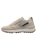 lamino Sneakers in Beige