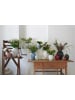 Knabstrup Vase in Lila - (H)12,5 cm