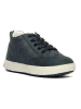 Primigi Leren sneakers "Barth 19" donkerblauw