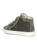 Primigi Leder-Sneakers "Like" in Grau