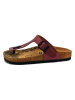 Calceo Teenslippers bordeaux