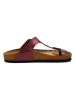 Calceo Teenslippers bordeaux