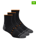 Skechers 3er-Set: Socken in Schwarz