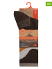 Skechers 2er-Set: Socken in Braun/ Taupe